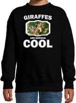Dieren giraffen sweater zwart kinderen - giraffes are serious cool trui jongens/ meisjes - cadeau giraffe/ giraffen liefhebber 12-13 jaar (152/164)