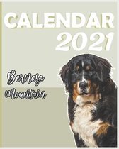 Bernese Mountain