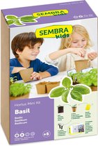 Sembra Kids - Basilikum Mini Kit