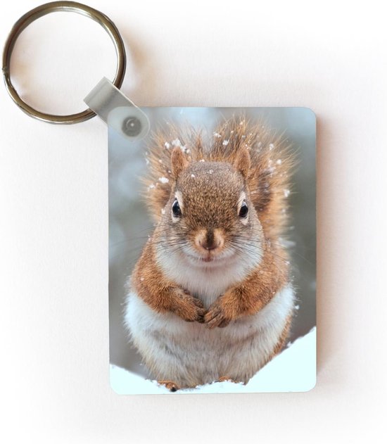 Porte-clés Écureuils en hiver - Un gros plan d'un écureuil en hiver Porte-clés en plastique - Porte-clés rectangulaire avec photo