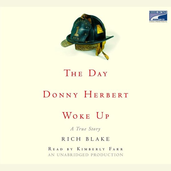 The Day Donny Herbert Woke Up - cover