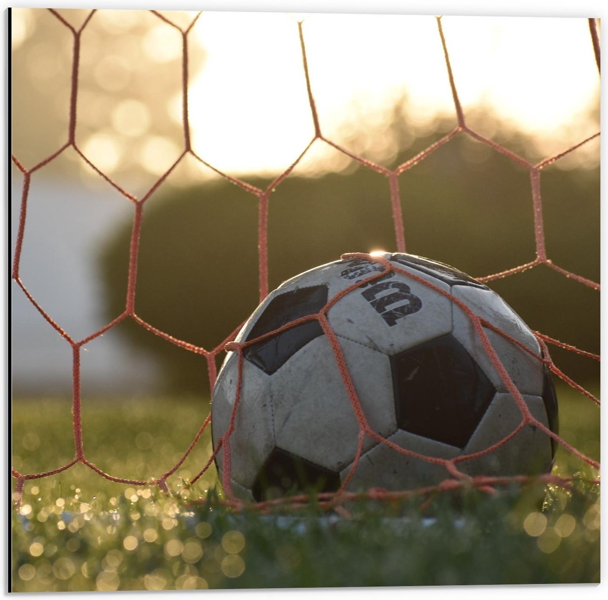 Dibond - Voetbal in de Goal - 50x50cm Foto op Aluminium (Met Ophangsysteem)