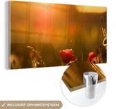 MuchoWow® Glasschilderij 120x60 cm - Schilderij acrylglas - Klaproos - Zonsondergang - Goud - Foto op glas - Schilderijen