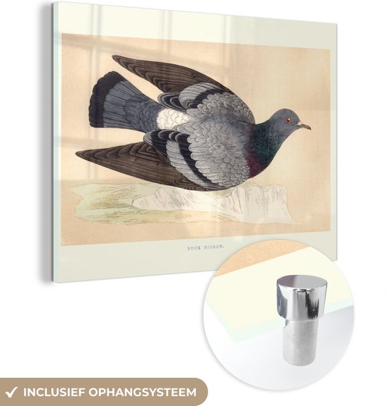 MuchoWow® Glasschilderij 40x30 cm - Schilderij acrylglas - Illustratie van en vliegende duif - Foto op glas - Schilderijen