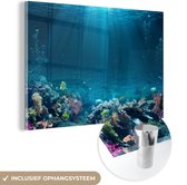 MuchoWow® Glasschilderij 60x40 cm - Schilderij acrylglas - Oceaan - Vis - Koraal - Foto op glas - Schilderijen