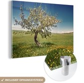 MuchoWow® Peinture sur verre - Pommier - Printemps - Fleurs - 120x80 cm - Peintures acrylique - Photo sur Glas