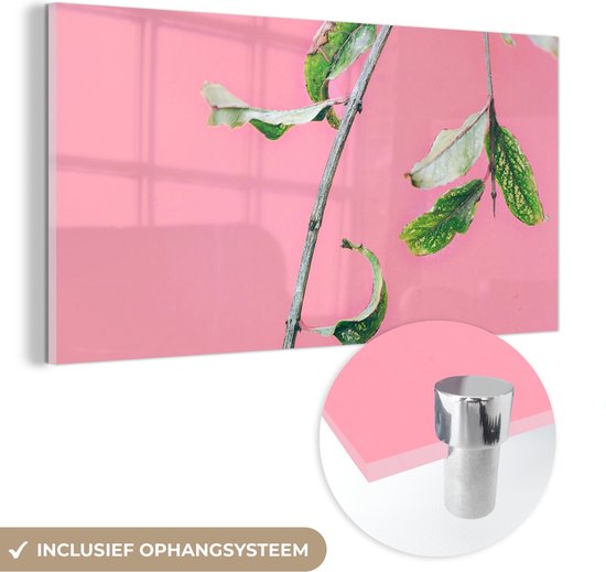 MuchoWow® Peinture sur verre 120x60 cm - Peinture sur verre - Plantes - Été - Rose - Photo sur verre acrylique - Peintures