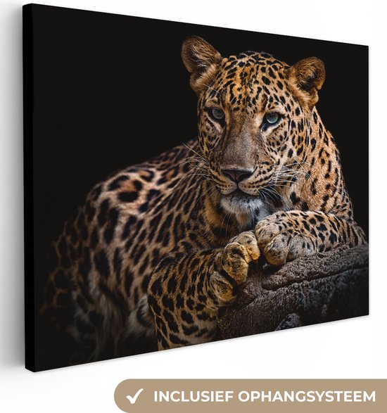 Canvas - Luipaard - Boomstam - Dieren - Muurdecoratie - 80x60 cm - Schilderijen op canvas - Canvas doek