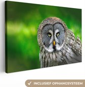 Toile - Peinture - Vogel - Hibou - Animaux - Peintures sur toile - Tableau sur toile - 60x40 cm - Décoration murale - Salon