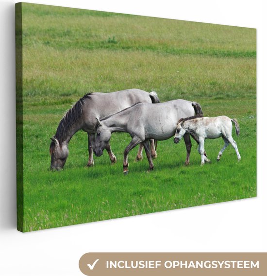 Canvas Schilderij Paarden - Dieren - Gras - Wanddecoratie