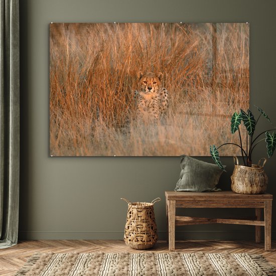 MuchoWow® Peinture sur verre 150x100 cm - Peinture sur verre acrylique - Cheetah - Camouflage - Herbe - Photo sur verre - Peintures