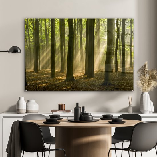 La lumière du soleil d'automne brille sur les vieux arbres Plexiglas 120x80 cm - Tirage photo sur Glas (Décoration murale plexiglas)