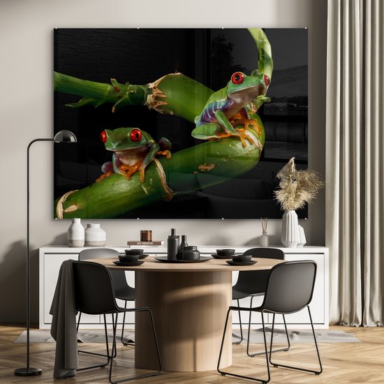 MuchoWow® Peinture sur verre 160x120 cm - Peinture sur verre acrylique - Grenouille - Branche - Reptile - Photo sur verre - Peintures