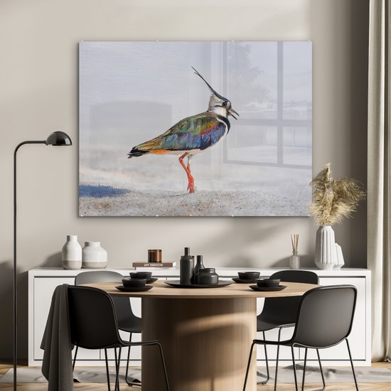 Peinture sur verre - Photo sur verre - Vogel - Ressorts - Arc-en-ciel - Sable - 120x90 cm - Verre acrylique - Peinture sur verre oiseaux - Décoration murale - Peinture sur verre nature - Décoration murale animaux
