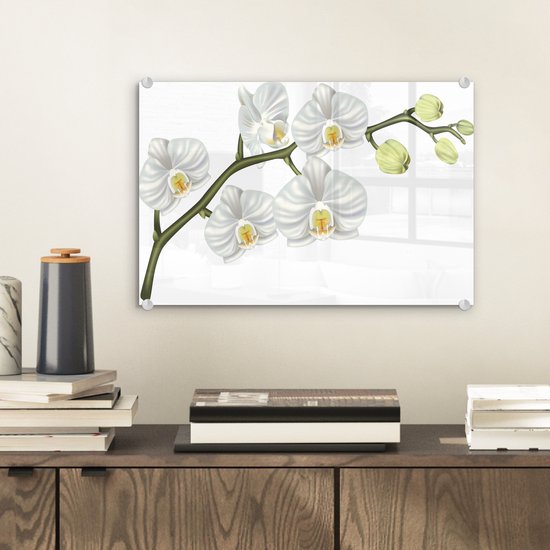 MuchoWow® Peinture sur Verre - Illustration d'une Orchidée Blanche - 30x20 cm - Peintures sur Verre Acrylique - Photo sur Glas