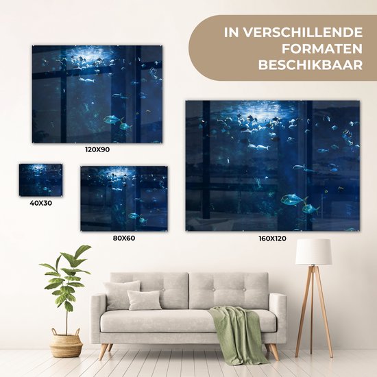 MuchoWow® Peinture sur verre - Pêche dans un aquarium en Norvège - 160x120 cm - Peintures sur verre acrylique - Photo sur Glas
