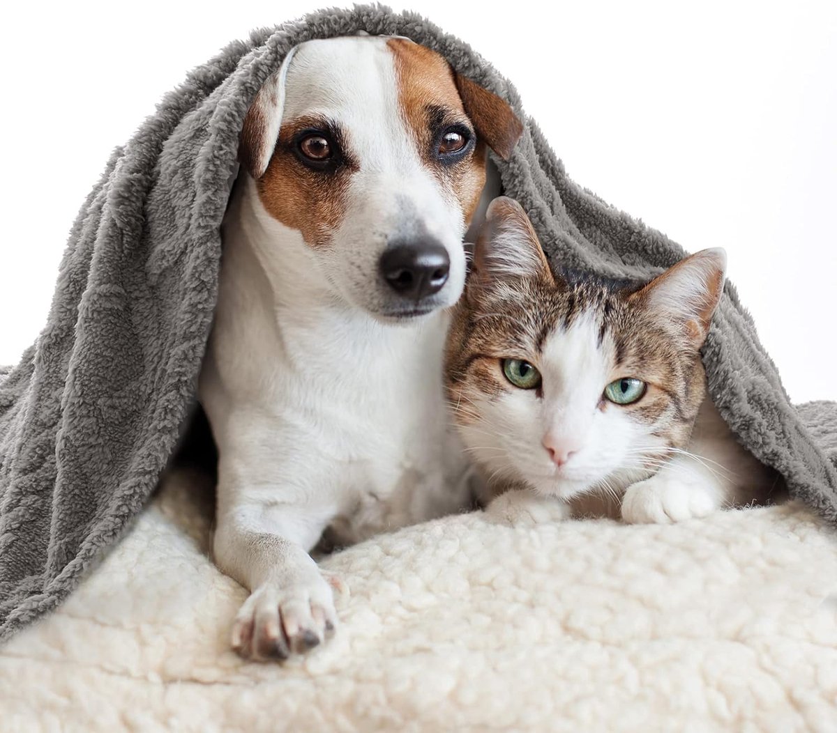 Bol.com Hond Deken 100x120 cm Pluizige Fleece Stof Zachte en Leuke Warme Bed Cover Deken Gooi Wasbare Slaap Mat voor Honden Katt... aanbieding