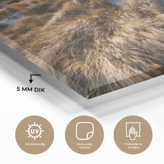 MuchoWow® Peinture sur verre 120x80 cm - Peinture sur verre acrylique - Plage - Mer - Scheveningen - Nederland - Photo sur verre - Peintures