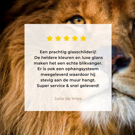 MuchoWow® Peinture sur verre - Lion - Lumière - Zwart - Portrait - 80x60 cm - Peintures sur verre acrylique - Photo sur Glas