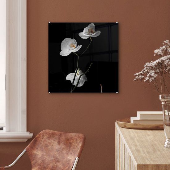 MuchoWow® Peinture sur verre 50x50 cm - Peinture sur verre acrylique - Orchidée - Fleurs - Zwart - Wit - Nature morte - Photo sur verre - Peintures