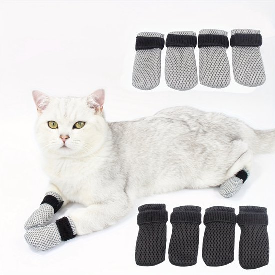 Protection Scratch Chats Couvre Ongles Chat Anti Scratch Chats Ongles Chat . bol