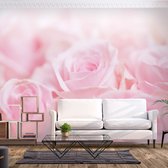 Fotobehangkoning - Behang - Vliesbehang - Fotobehang - Ocean of Roses - Roos - Magische Rozen - 300 x 210 cm