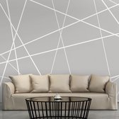Fotobehangkoning - Behang - Vliesbehang - Fotobehang Moderne Geometrie - Modern Cobweb - 100 x 70 cm