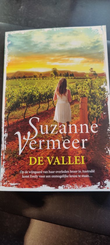 9789044985375 - De vallei