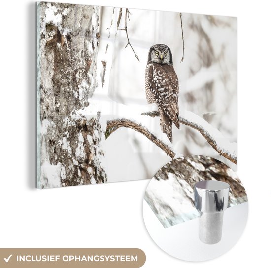 MuchoWow® Glasschilderij 60x40 cm - Schilderij acrylglas - Uil - Sneeuw - Winter - Vogels - Portret - Foto op glas - Schilderijen