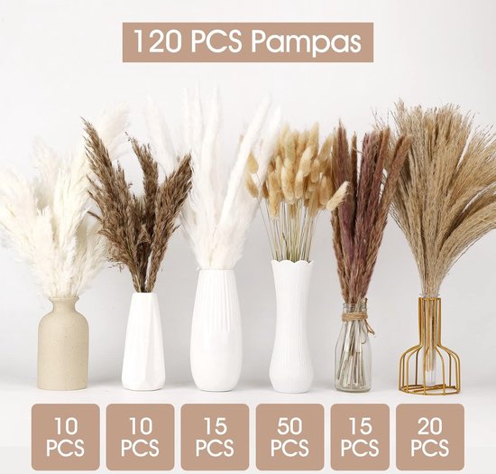 ZJTAPE Gedroogde natuurlijke pampasgras-decoratie, witte lagurus, boeket droogbloemen voor knutselwerk, voor bruiloftstafel, voor een vaas in de woonkamer, bohemien decoratie