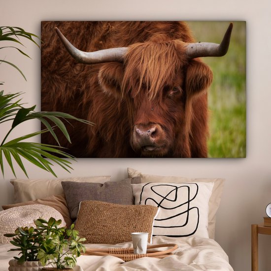 Tableau sur toile Scottish Highlander - Oranje - Animaux - 140x90 cm - Décoration murale