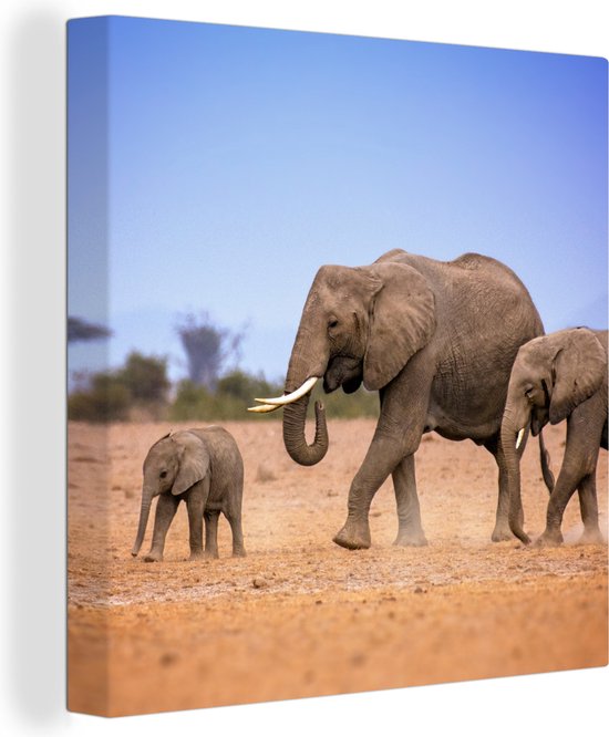 OneMillionCanvasses - Canvas - Olifanten - Kenia - Olifant - Familie - Savanne - Landschap - Kamer decoratie - Wanddecoratie - 20x20 cm