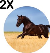 BWK Flexibele Ronde Placemat - Gallopperend Paard in het Gras - Set van 2 Placemats - 50x50 cm - PVC Doek - Afneembaar
