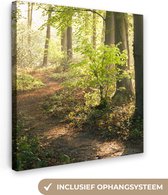 Canvas Schilderij Bos - Bomen - Pad - Zon - Planten - Bladeren - Natuur - 20x20 cm - Wanddecoratie