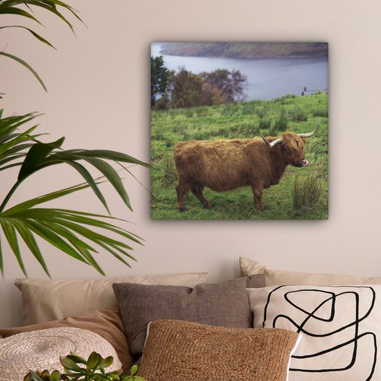 Peinture sur toile Highlander écossais - Herbe - Water - Animaux - 50x50 cm - Décoration murale