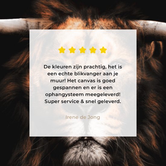 Leeuw - Hoorn - Schotse hooglander - Canvas - 40x20 cm - Wanddecoratie