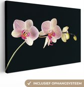 Tableau Tableau Orchidée sur fond noir - 120x80 cm - Décoration murale