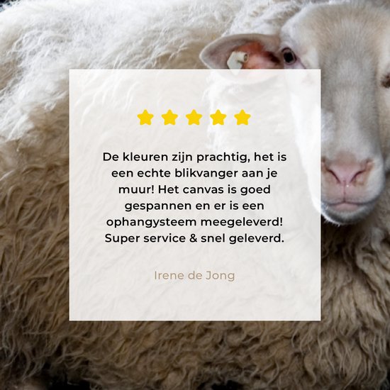 Tableau Mouton - Animaux de la ferme - Zwart - 40x80 cm - Décoration murale