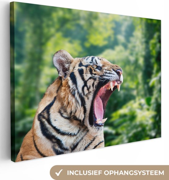 Tigre rugissant dans la forêt Toile 80x60 cm - Tirage photo sur toile (Décoration murale salon / chambre) / Peintures sur toile Animaux