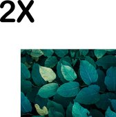 BWK Textiele Placemat - Groene Bladeren aan een Plant - Set van 2 Placemats - 35x25 cm - Polyester Stof - Afneembaar