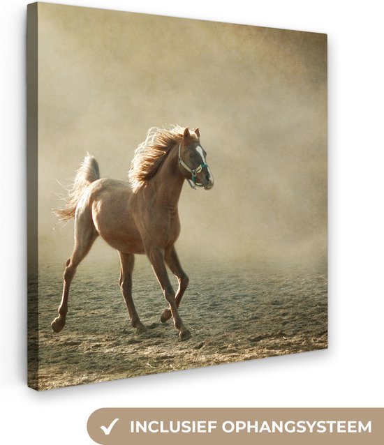 Canvas Schilderij Paard - Zand - Mist - 20x20 cm - Wanddecoratie