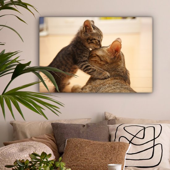Chat câlin avec chaton 60x40 cm - Tirage photo sur toile (Décoration murale salon / chambre)