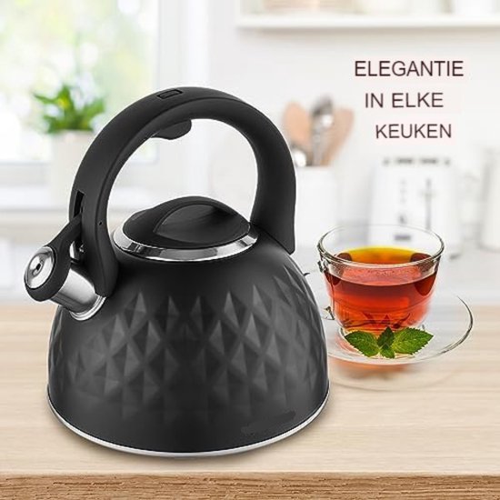 Wasserkessel 2.7L HGK LEA MIRROR flötenkessel pfeifkessel für gas