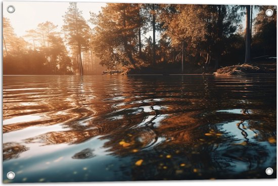 Tuinposter – Meer - Water - Bomen - Zonlicht - 75x50 cm Foto op Tuinposter (wanddecoratie voor buiten en binnen)