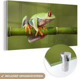 MuchoWow® Glasschilderij 160x80 cm - Schilderij acrylglas - Roodoogmakikikker op bamboe - Foto op glas - Schilderijen