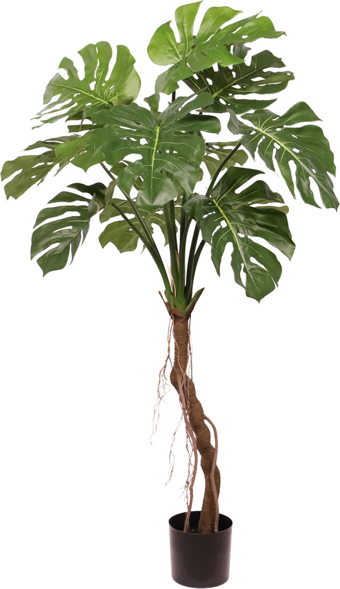 maxifleur Kunstplanten Monstera Deluxe Kunstboom op stam 130cm Groen