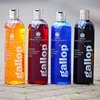 Carr&day&martin Gallop Colour Enhancing Shampoos - Chesnut & Palomino Horses - Maat 500ml