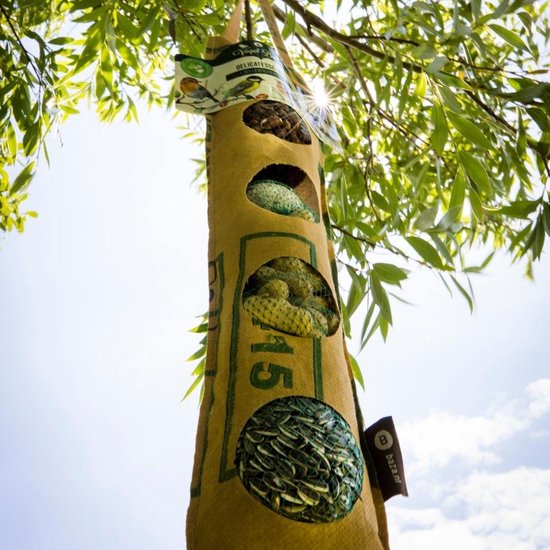 Bird-Buffet | Rags delicatesse bigfeeder | 650 gram | geschikt voor ...