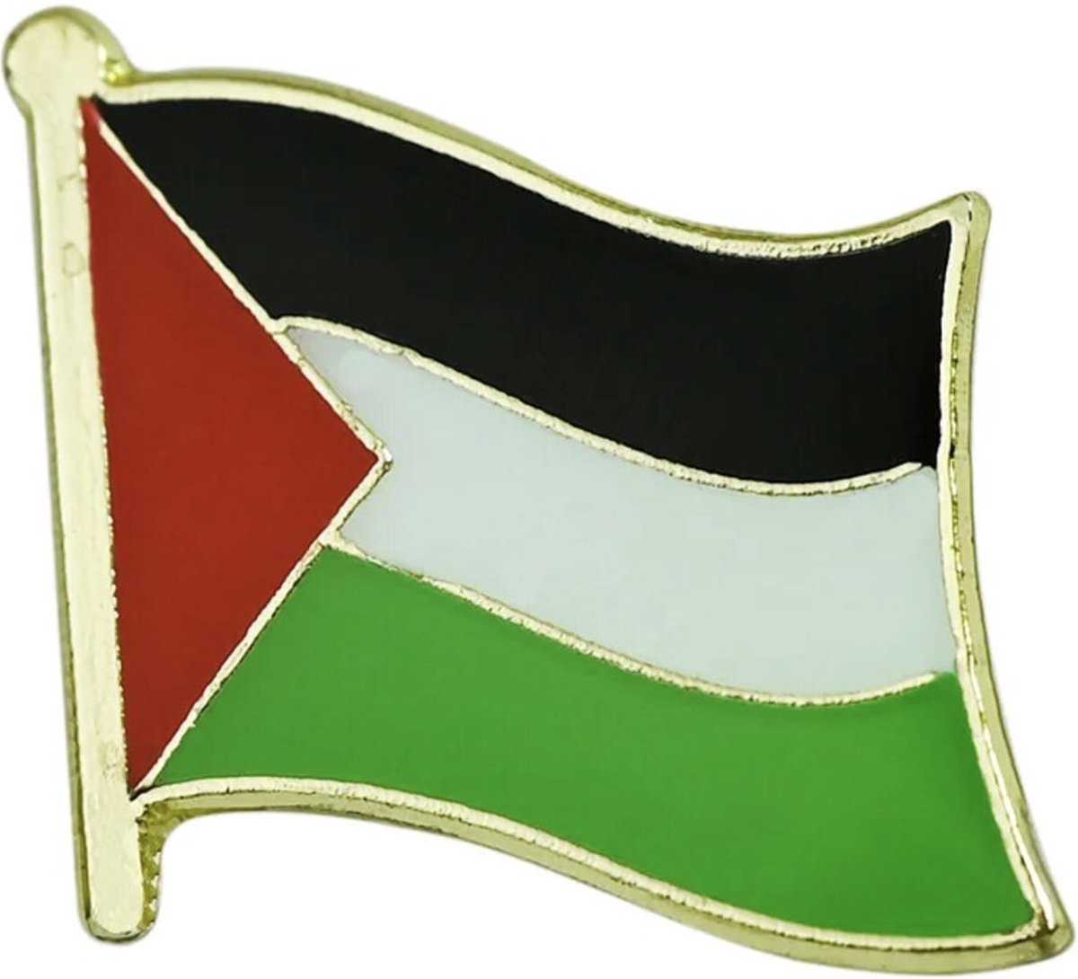 Pin drapeau Palestine