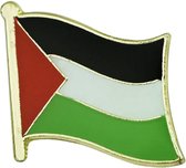 Pin Vlag Palestina 20 mm - Landen thema artikelen